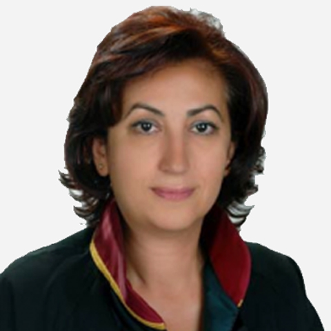 Muhsine Tülin Kavasoğlu